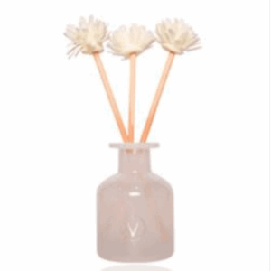 Raumduft mit natürlichem Diffusor - Aloe Spa 150ml